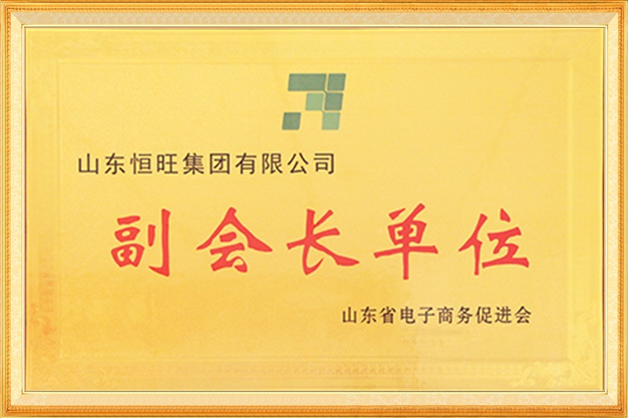 山東省電子商務(wù)促進(jìn)會(huì)副會(huì)長(zhǎng)單位